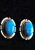 The Ezra Oval Studs