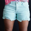 The Lindy Mid Rise Frayed Short