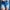 The James High Rise Distressed Short