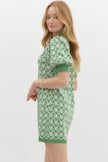 The Jefferson Retro Dress
